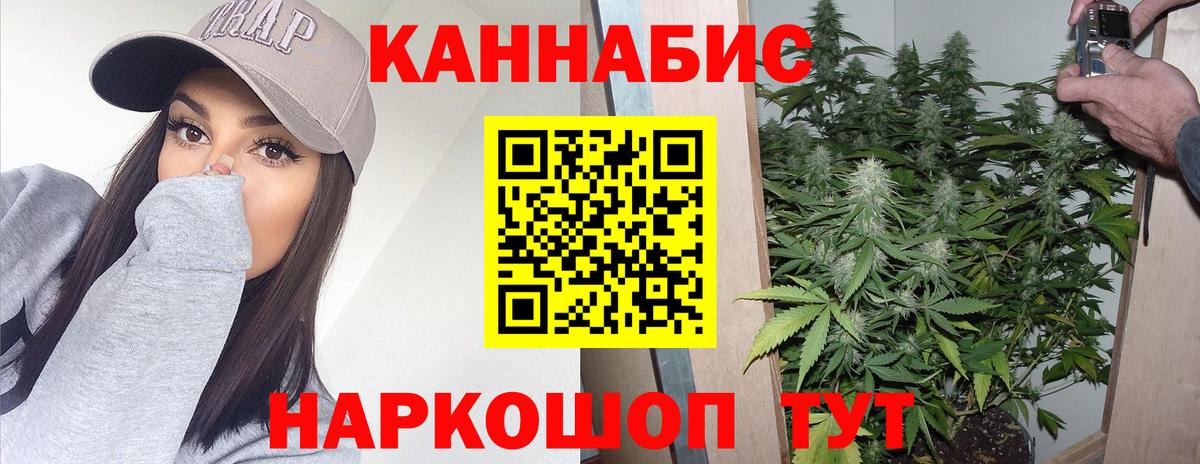 МАРИХУАНА SATIVA & INDICA  Марихуана план  Вход с VPN  Кинель  Шишки марихуана VHQ  Шишки марихуана гибрид 
